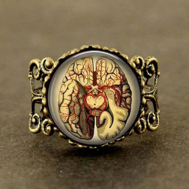 

Qiyufang jewelry Anatomical brain Ring Gothic science rings biology medical student xmas Gift for Women Men doctor dr who charms