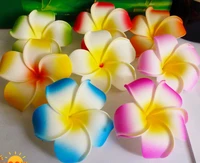 100 pcs 6cm 9 colors available mixed colour foam frangipani flower no clip hawaiian plumeria flower hair accessories for women