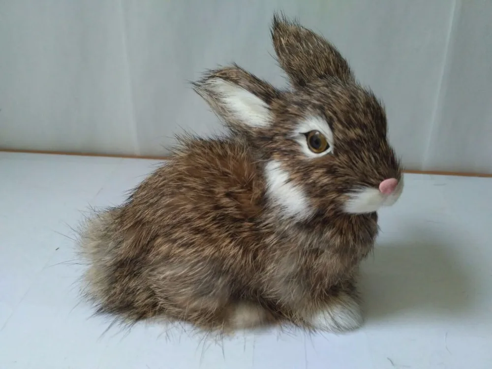 Кролик 12 лет