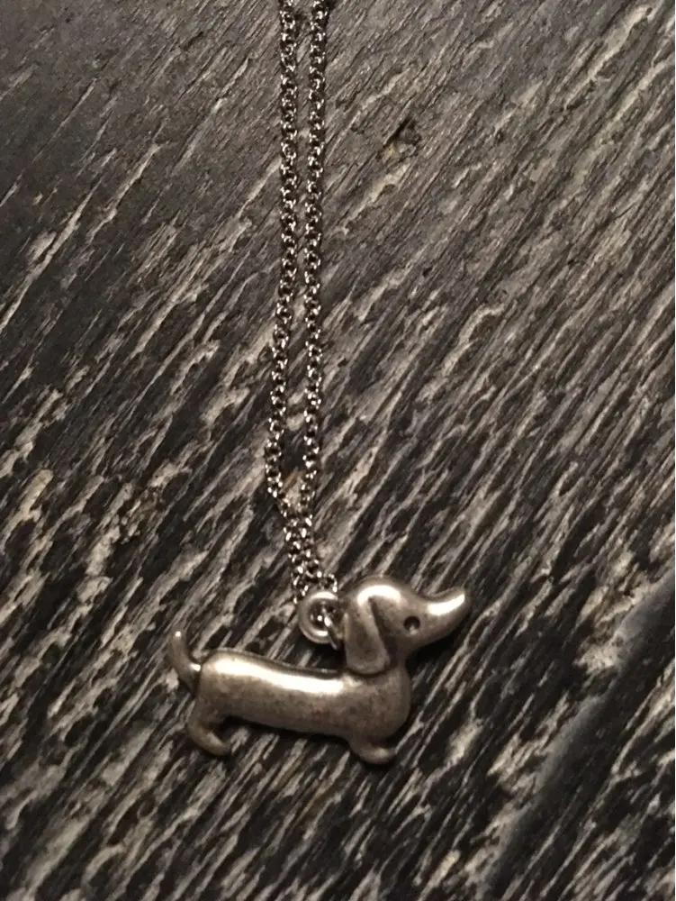 Hzew реальное изображение хиппи шик Винтаж Серебряный цвет ожерелье с таксой