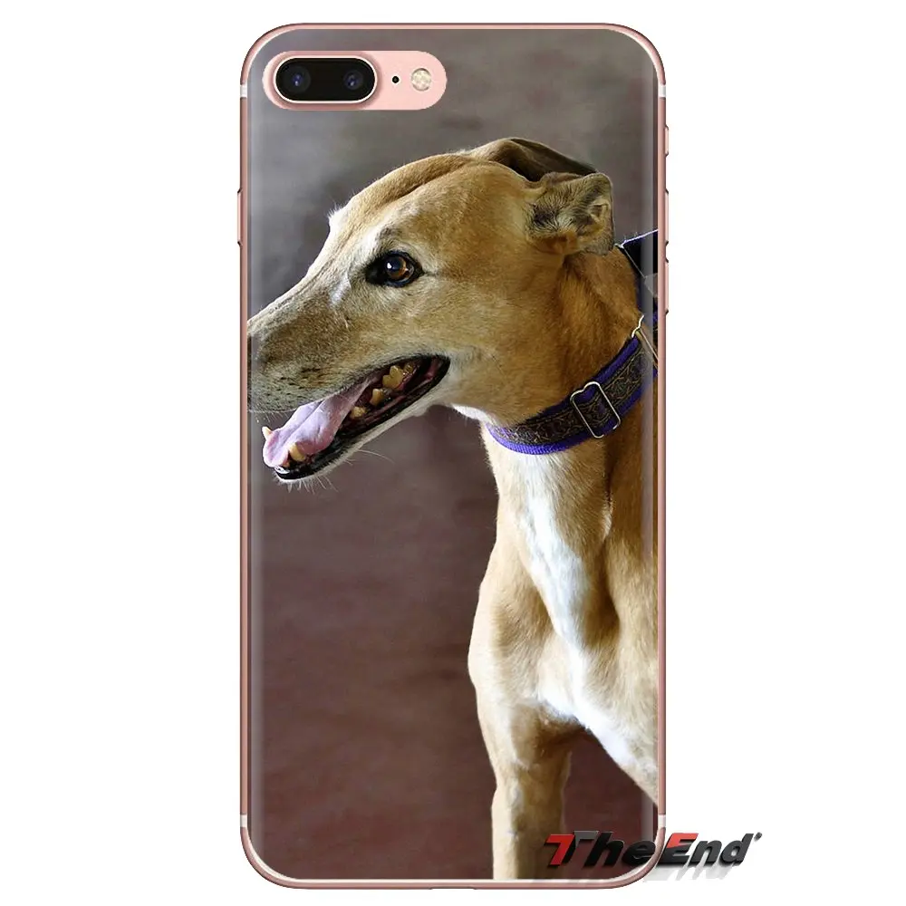 galgo greyhound puppy Dog Pets For Xiaomi Redmi 4A S2 Note 3 3S 4 4X 5 Plus 6 7 6A Pro Pocophone F1 TPU Transparent Cases Covers |