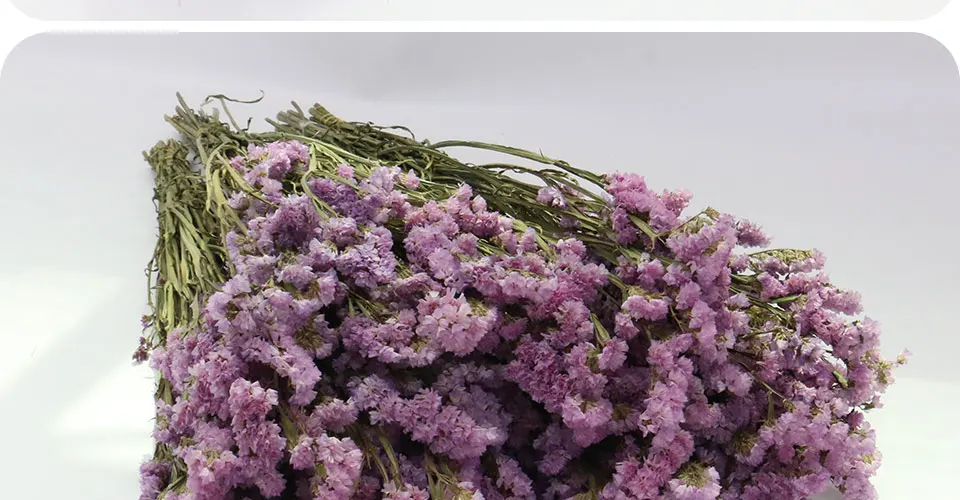55 см натуральный воздушный сушеный Forget-me-not букет из сушеных цветов Рождественские Свадебные украшения цветы семейные вечерние композиции цветов