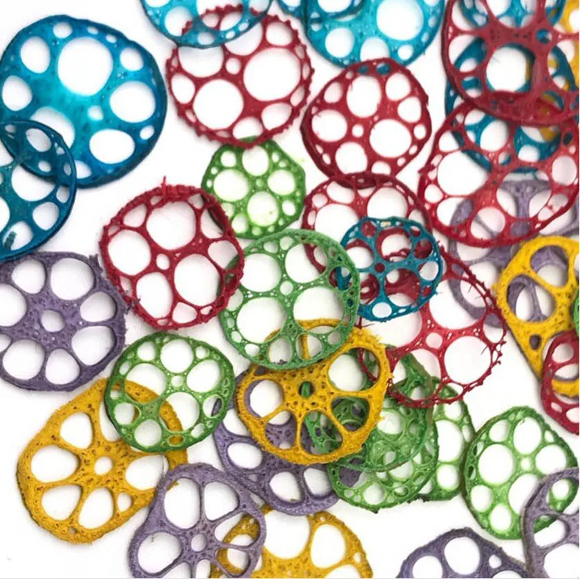 

60pcs Pressed Dried Lotus Root Slices Plant Herbarium For Jewelry Postcard Invitation Card Phone Case Bookmark Making DIY