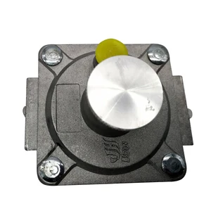 Клапаны регулятора давления воды Earth Star, 1 шт.