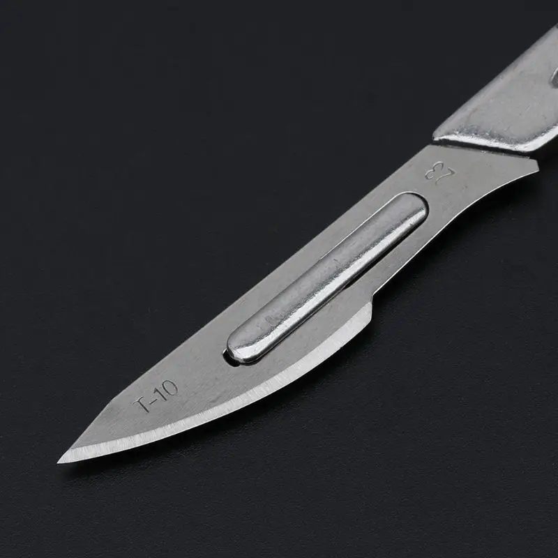 

Succulent Plants Pruning Knife Gardening Bonsai Tools Cuttings Transplant Blade