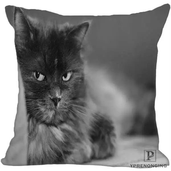 Square Pillowcases Custom Decorative Pillowcase Cats Kitten Rain Square Zippered Pillow Cover(One Side)80527-21-03 - Цвет: Square Pillowcases
