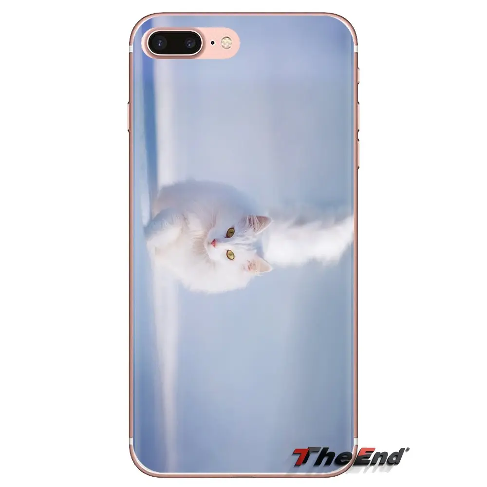 Transparent Soft Shell Covers For Xiaomi Redmi 4A S2 Note 3 3S 4 4X 5 Plus 6 7 6A Pro Pocophone F1 Winter Kitten |