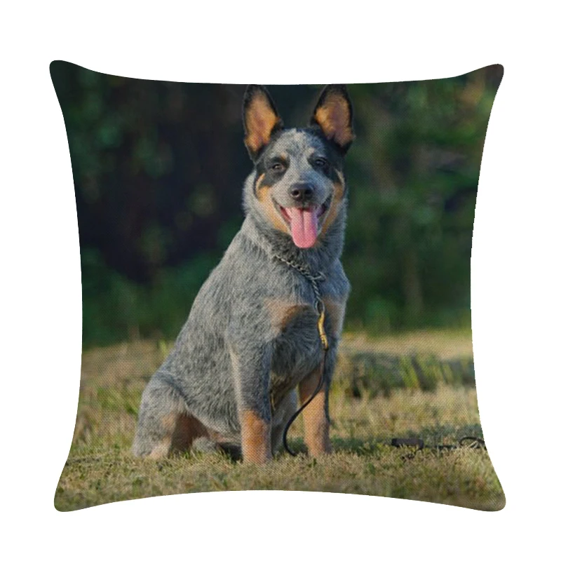 Наволочка для домашнего дивана с изображением собаки австралийского крупного