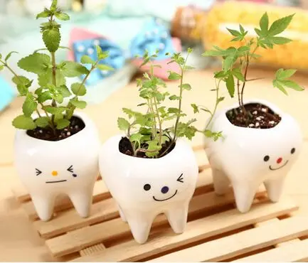 100% новый и высокое качество бонсай Керамика цветочный горшок DIY небольшой