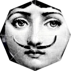 2 Винтажный автоматический зонт fornazetti Art beauty Face с черепом, модный пляжный зонт, зонтики солнце/женский зонт от дождя - Цвет: 2