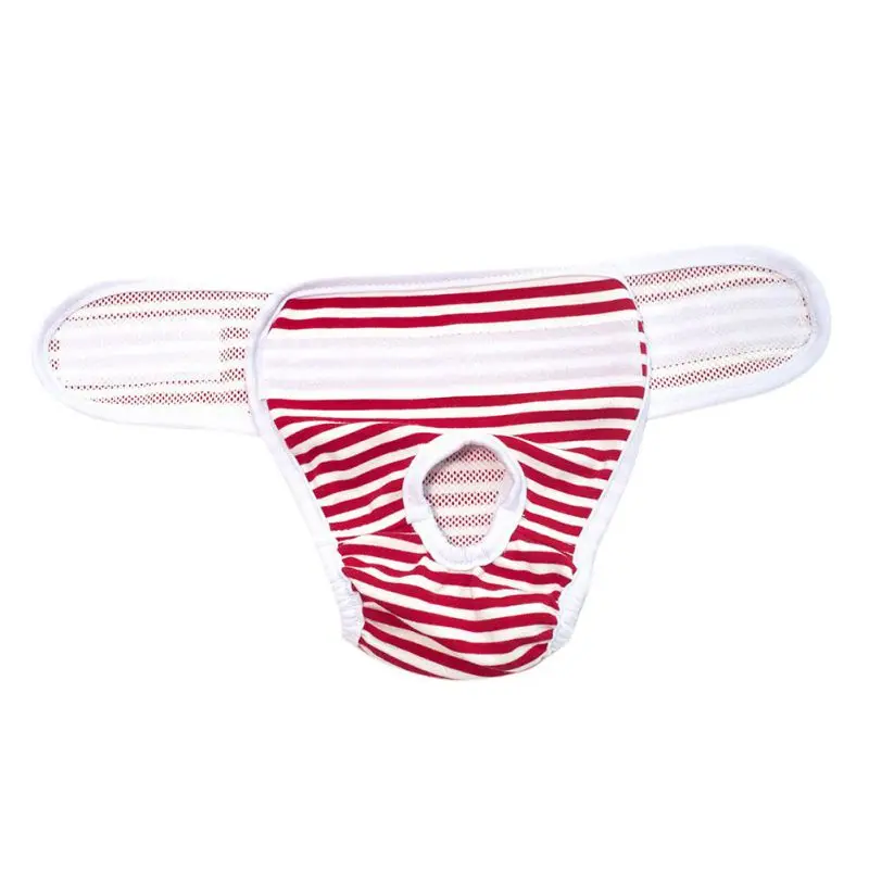 

Cute Pet Dog Physiological Pants Panty In Season Sanitary Pants For Female Lovely Underwear For Boy Dog Cat
