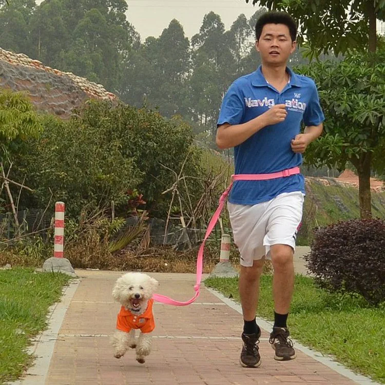 Бесплатная доставка нейлон сильные руки собаки поводок животное ведет для бега