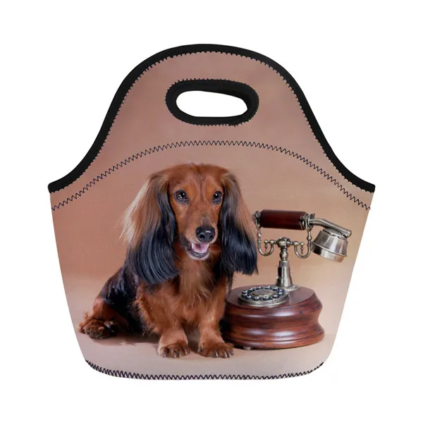XM2091Z20 Twoheartsgirl милый Dachshunds напечатанный неопреновый мешок для завтрака для женщин дети Термоизолированный Ланч-бокс сумка-тоут Портативный Ланч-мешок - Цвет: XM2091Z20