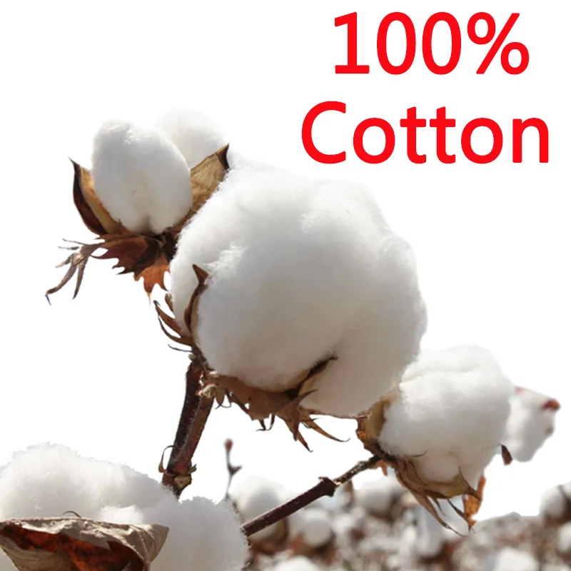 Детский спортивный костюм из 100% хлопка комплект одежды с принтом Любопытный