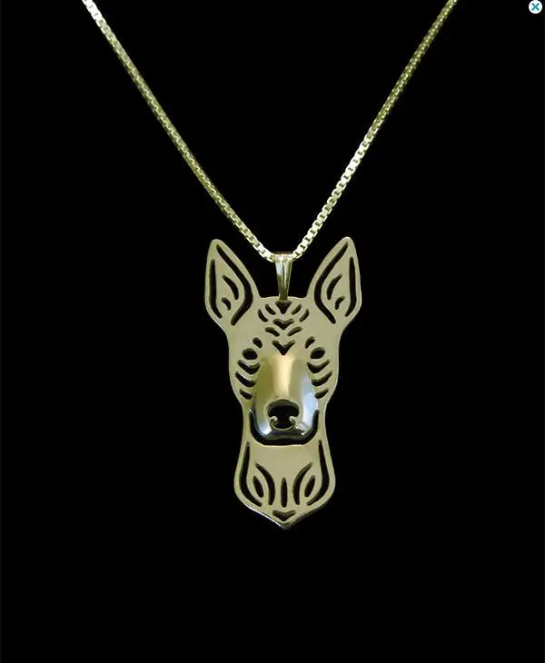 

Hollow Pet Pendant Xoloitzcuintle Necklace for women christmas gift jewelry