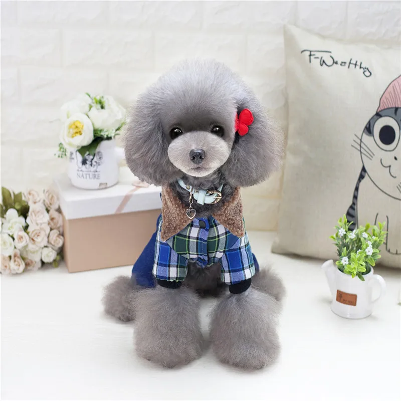 Комбинезоны для собак зимние джинсовые штаны домашних животных с рисунком