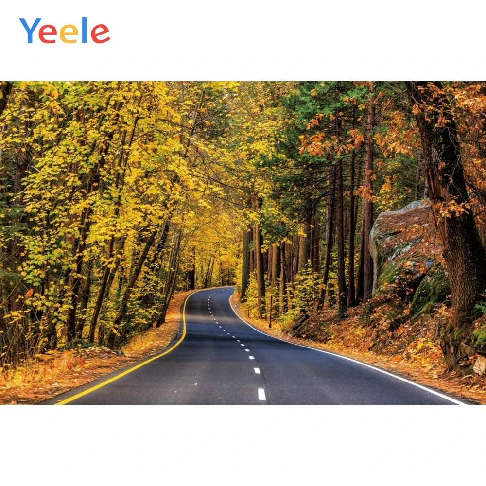 Yeele осенние золотые грунтовые дороги зеленые желтые листья Фото фоны
