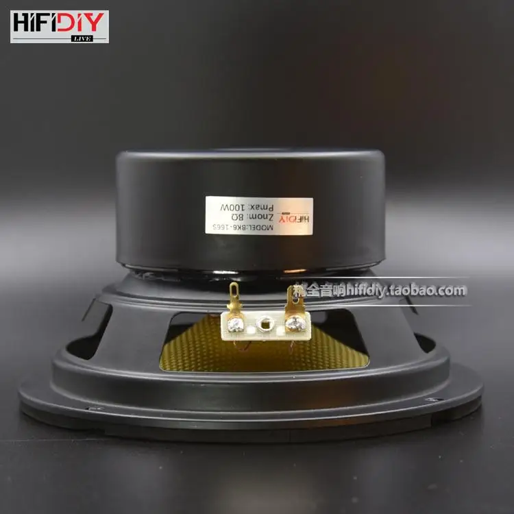 DIY Fever спикер 6,5 дюймов средний диапазон спикер блок сабвуфера BK6-166S усилитель спикер 4/8 евро