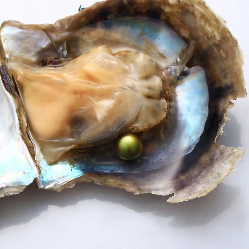10 шт. Akoya Oyster с одной красивой оливково-зеленый 6-8 мм Круглый AAA жемчуг в вакуумпосылка, цена, лучший подарок