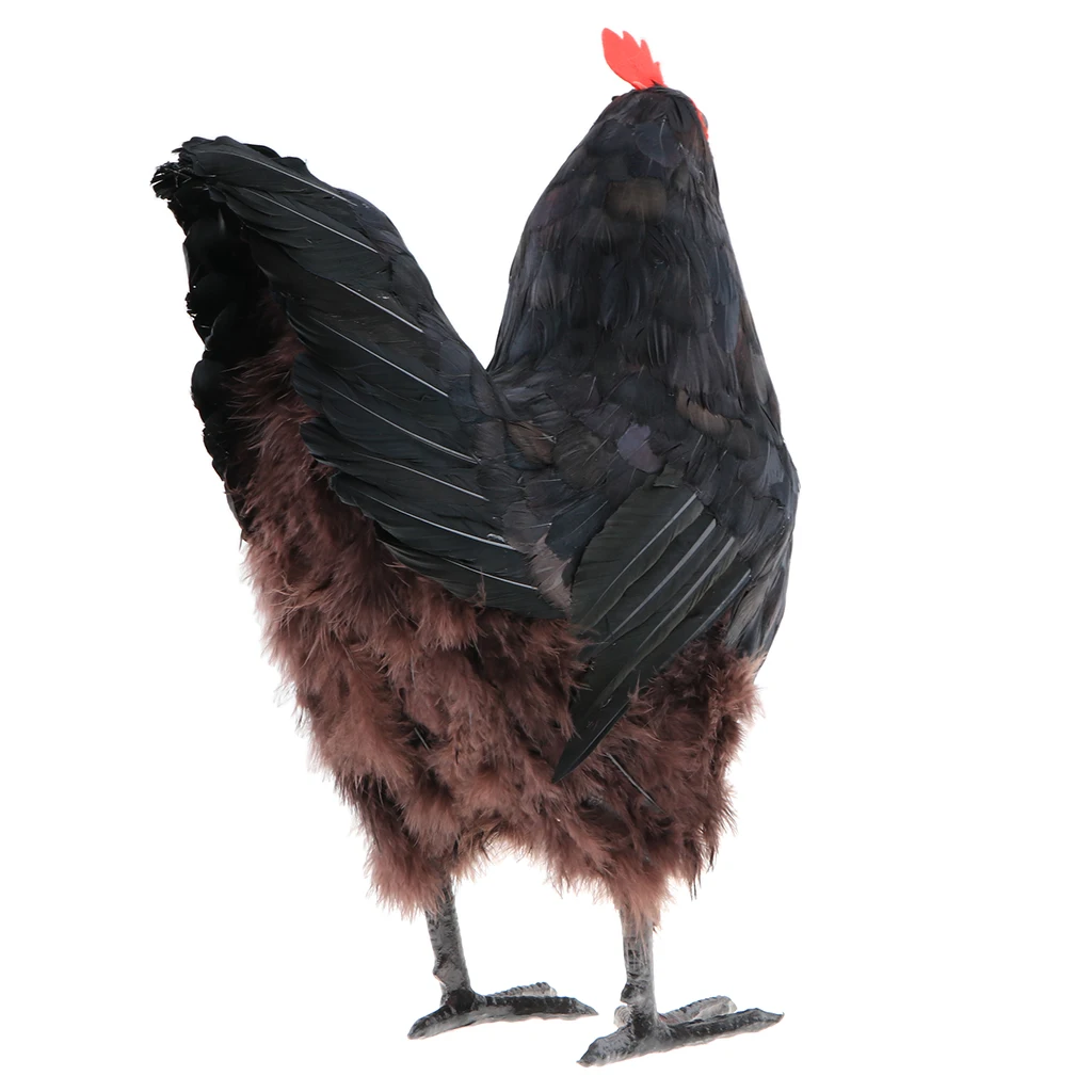 Реалистичные большой Rooster моделирование реалистичные фермы животных фото