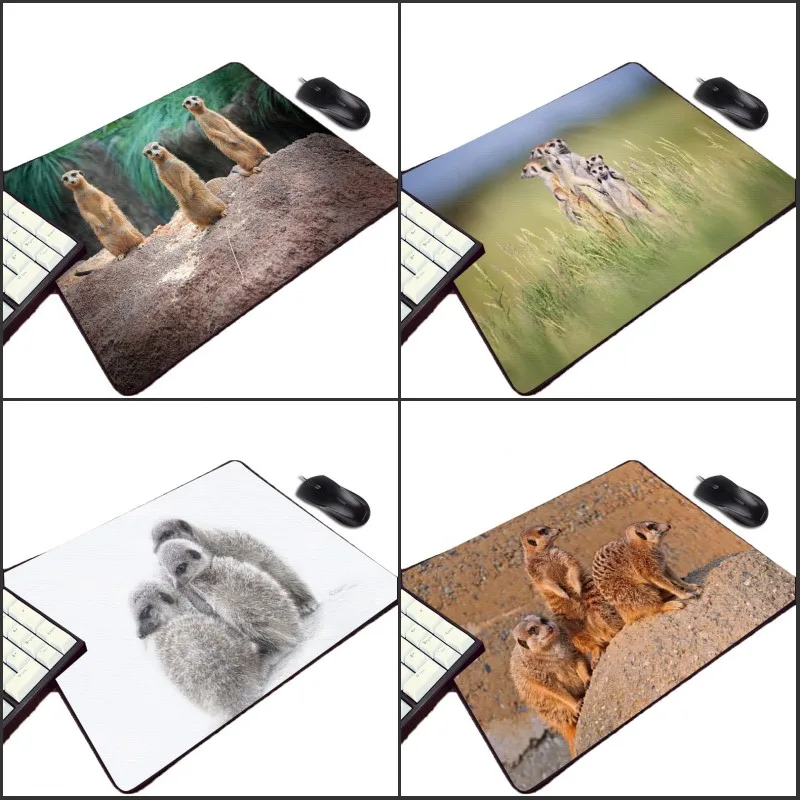 Mairuige 220x180x2MM Размеры Мини Pc компьютерная игра Мышь pad сурикатов животный принт