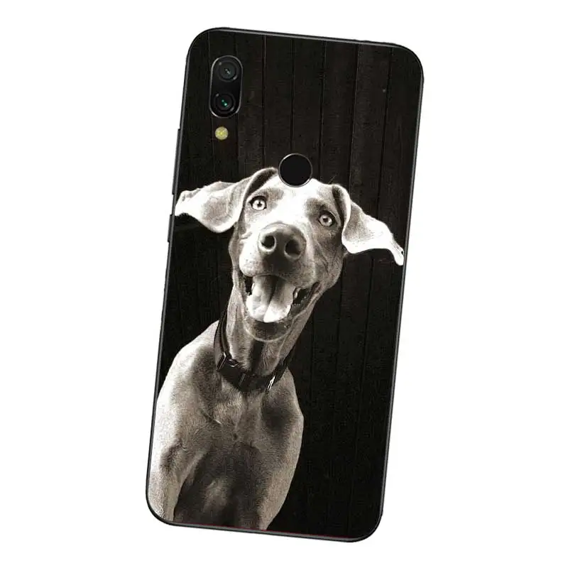 N463 Weimaraner Мягкий силиконовый чехол из ТПУ для Xiaomi Redmi Note 3 4 4X5 5A 6 7 Pro Глобальный |