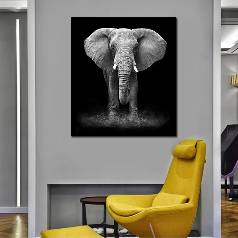 Современный черный белый слон фотография Бесплатная доставка Декор для дома