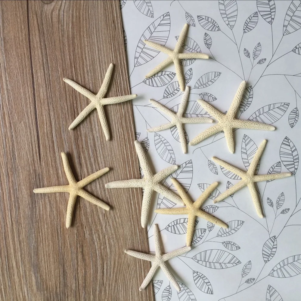 

HappyKiss 20pcs 5-8cm natural Starfish Real White Finger Star fish Drapery Hold Great for weddings or party asymmetry party