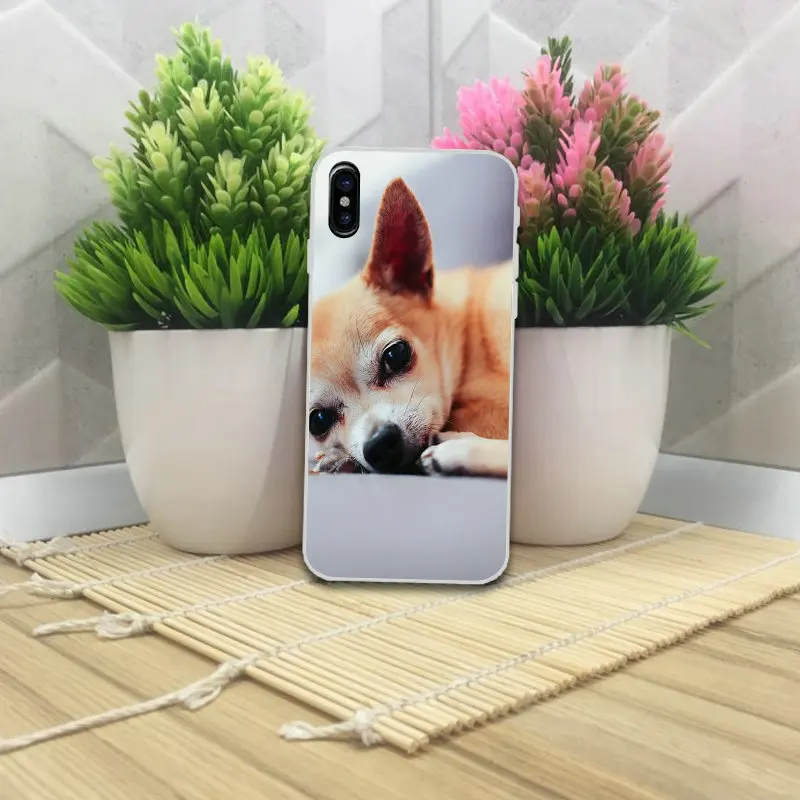 Милые животные собака МОПС мягкие ТПУ Аксессуары для мобильных телефонов