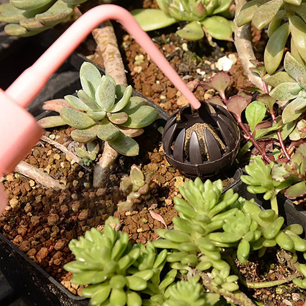 10 шт. корзины для удобрений горшок бонсай орхидеи Ванда растения дерево