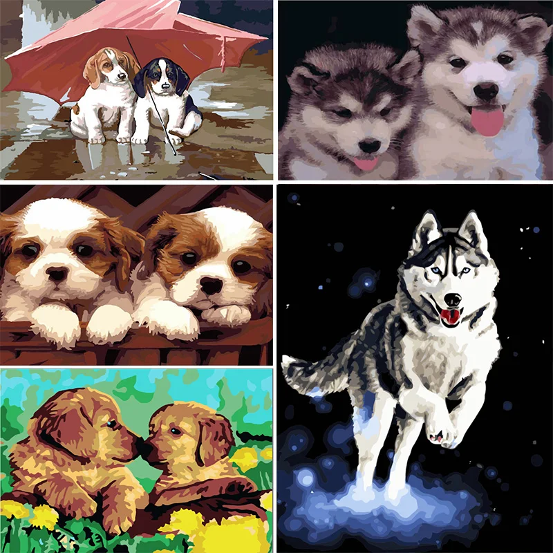Милые животные собака фотографии DIY Картина по номерам набор акриловых краски на