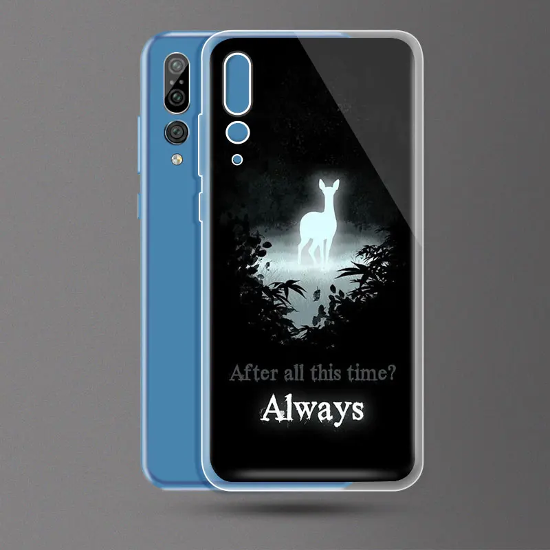 DREAMFOX N047 Гарри Поттер Мягкий силиконовый чехол из ТПУ для huawei Коврики 20 8 9 10 Lite Pro Nova