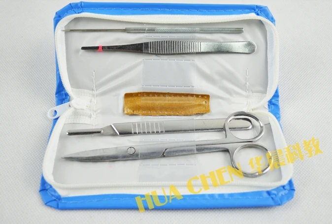 Обучающая Студенческая игрушка биологическая Анатомия прибор лабораторная