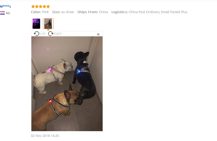 Pet светодиодный защитный кулон ожерелье мигающий светящийся светильник Ночной светильник мигающий ошейник подвеска для собаки щенка Nov#2
