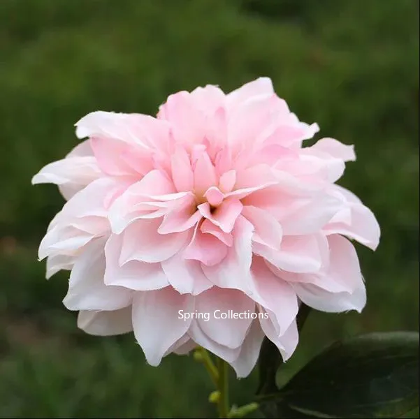 (Красный фиолетовый оранжевый шампань белый розовый) 16 см большие шелковые