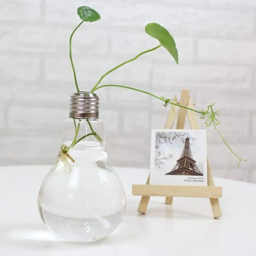 Подвесная прозрачная бутылка в форме лампы ваза зеленая фотография растительный