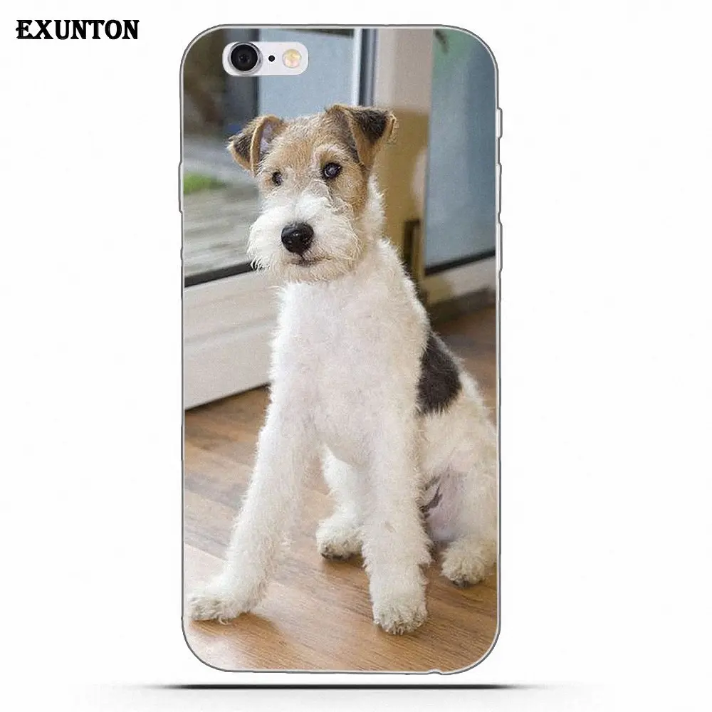 as picture Провод Фокс терьер с очками ТПУ стиль для Apple iPhone 4 4S 5 5C SE 6 6S 7 8 Plus X - Цвет: as picture