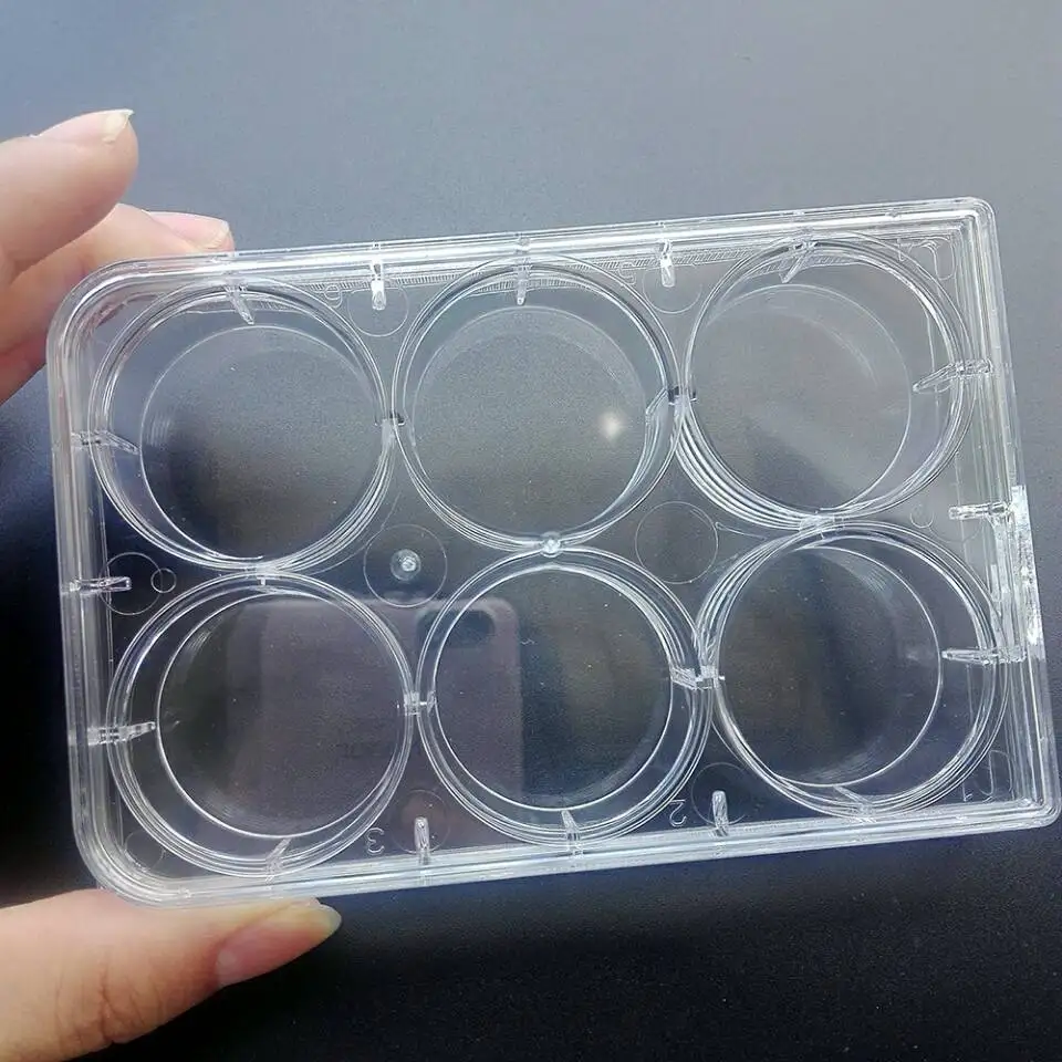 5 шт. одноразовая тарелка Петри с 6 отверстиями бактериального культивирования