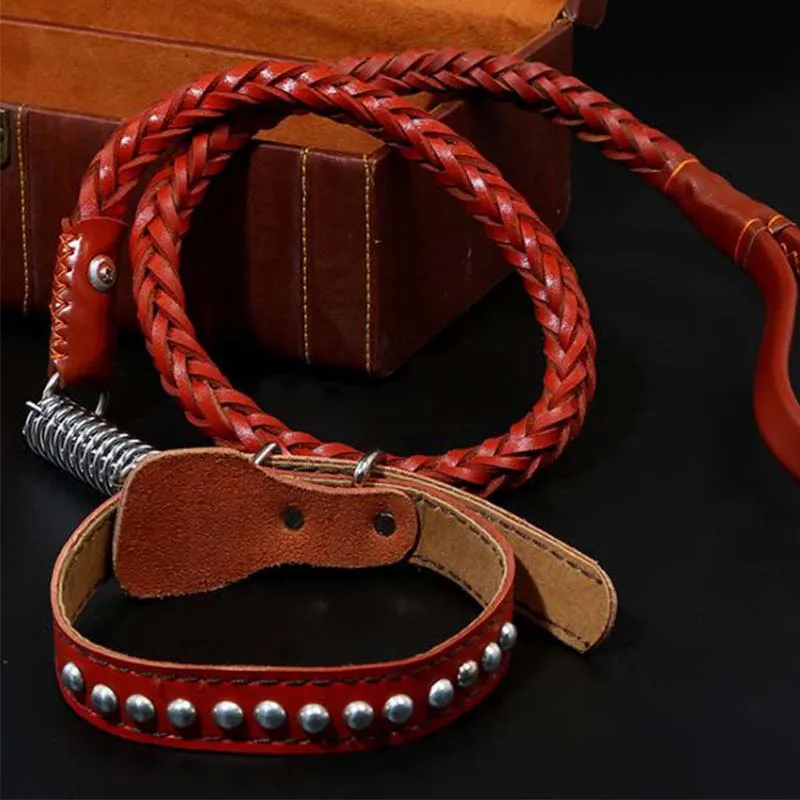 

Large dog leather bold dog collar big dog leash huskies