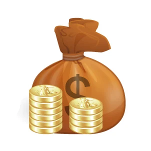 Дополнительная плата за доставку в удаленный регион |