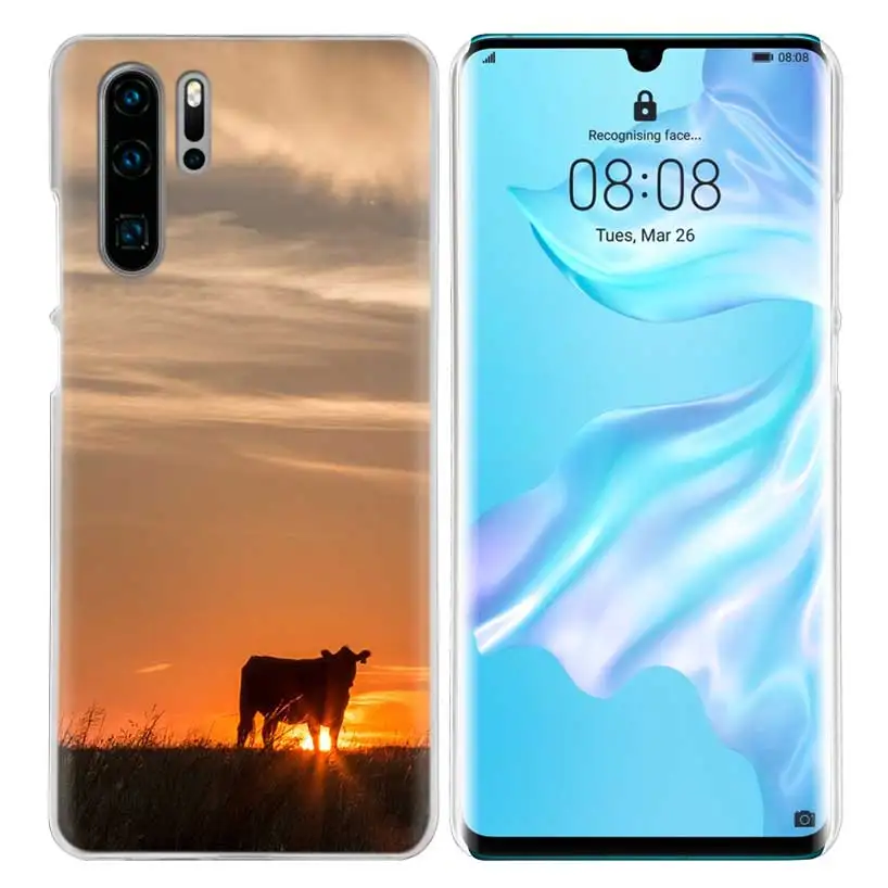 10 Чехол для huawei P20 P30 P Smart Nova 4 3i P10 P9 P8 mate 10 20 lite Pro Mini - Цвет: 10