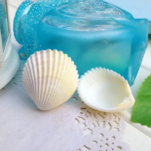 Морской раковины 5 шт.лот s натуральный кокосовый sallei оболочка yangtz Украшение Аквариум lion sallei белые натуральные морские раковины