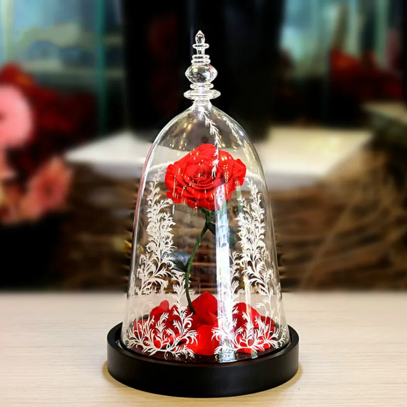 

Fresh Preserved Rose Flower Beauty and the Beast Rose with Fallen Petals in a Glass Dome for Valentine's Gifts Led Light