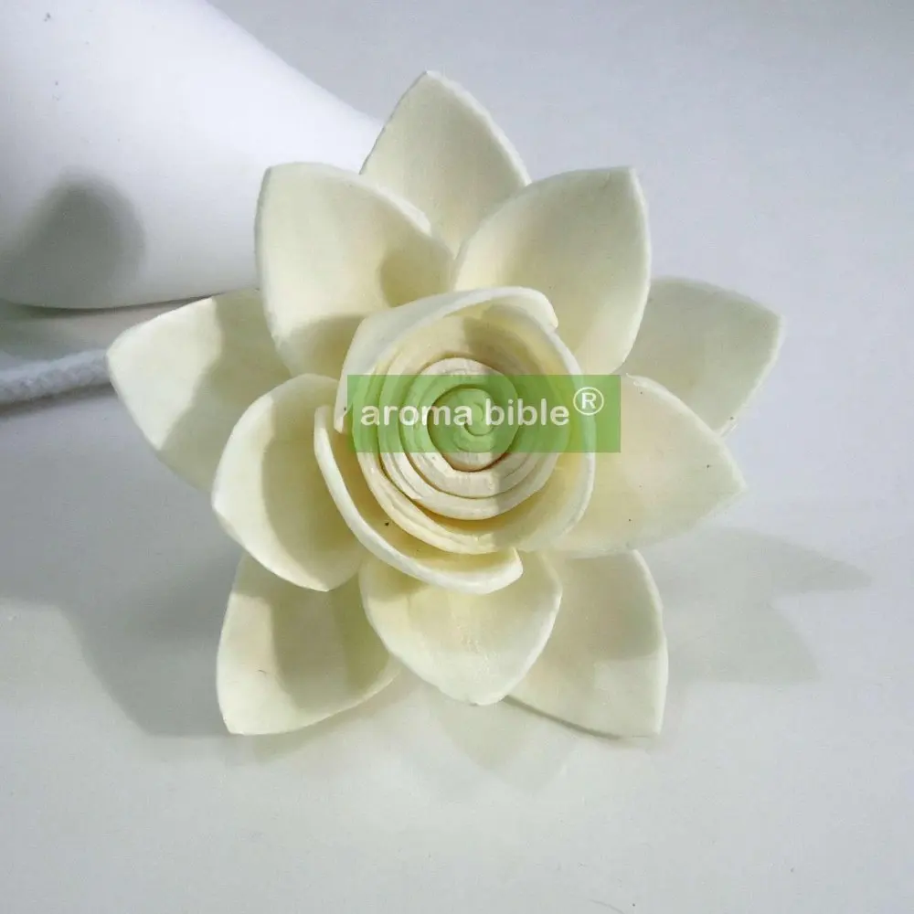 

1000 pcs /lot Sola Flowers Natural White Fragrance Flower Diffusers With Rope For Frangrance Diffuser Wholesale Price