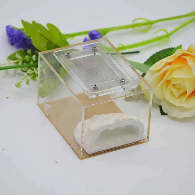 Имитация экологического муравьиного гнезда DIY штукатурка rockery acryl pet муравьиный замок муравьиная ферма насекомое муравьиные гнезда вилла