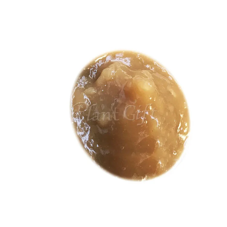 Завод подарок персик резинки и коллаж смываемая маска оживленный фирма против