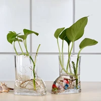 transparent glass trumpet vase hydroponic green radish plants flower hotel coffee table dining table ornaments
