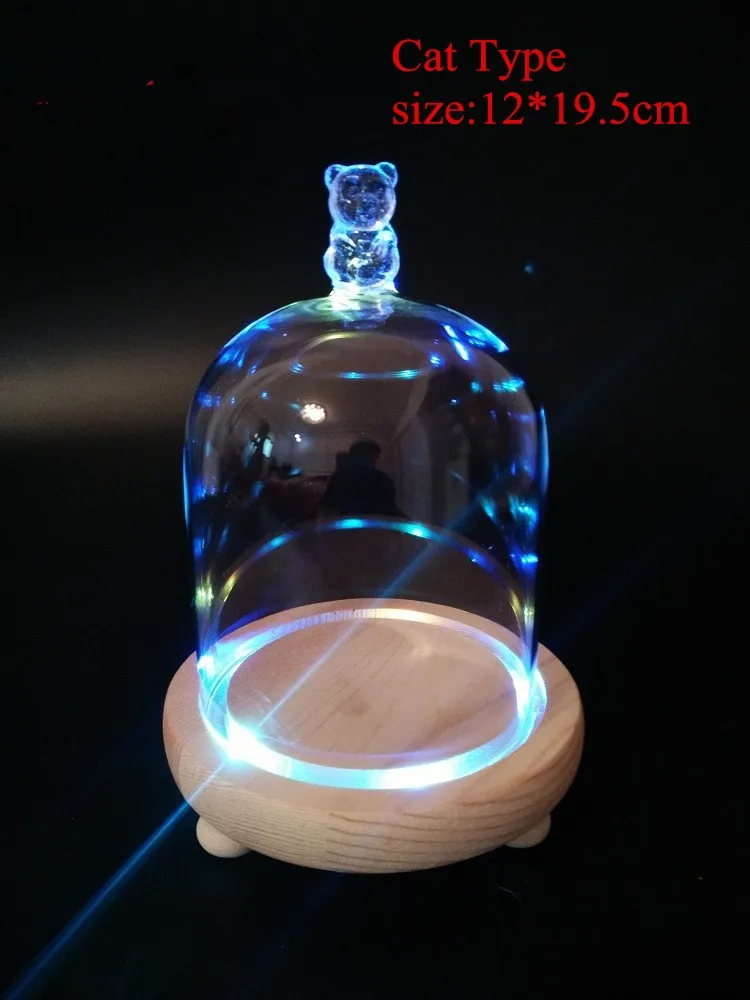 Круглые стеклянные вазы DIY вечная Цветочная стеклянная ваза деревянная основа RGB