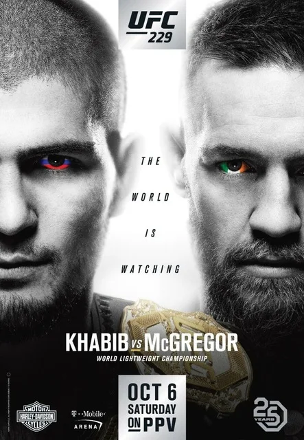 UFC 229 драка Хабиб нурмагомедов против Конора Макгрегора Шелковый постер