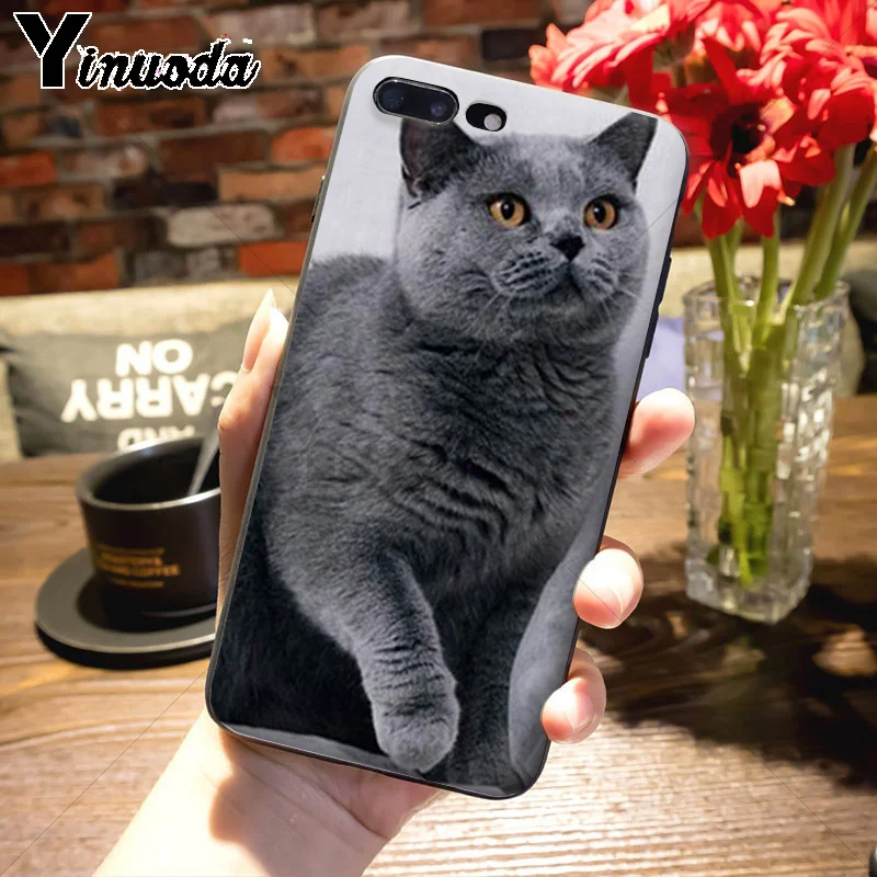 Чехол Yinuoda для телефона из мягкого ТПУ с изображением милых английских коротких